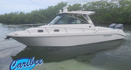 2016 Everglades 320 EX